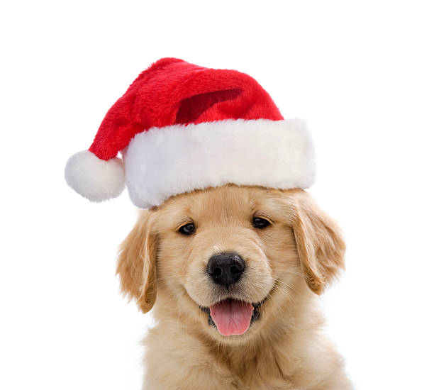 IMG_8903.jpeg