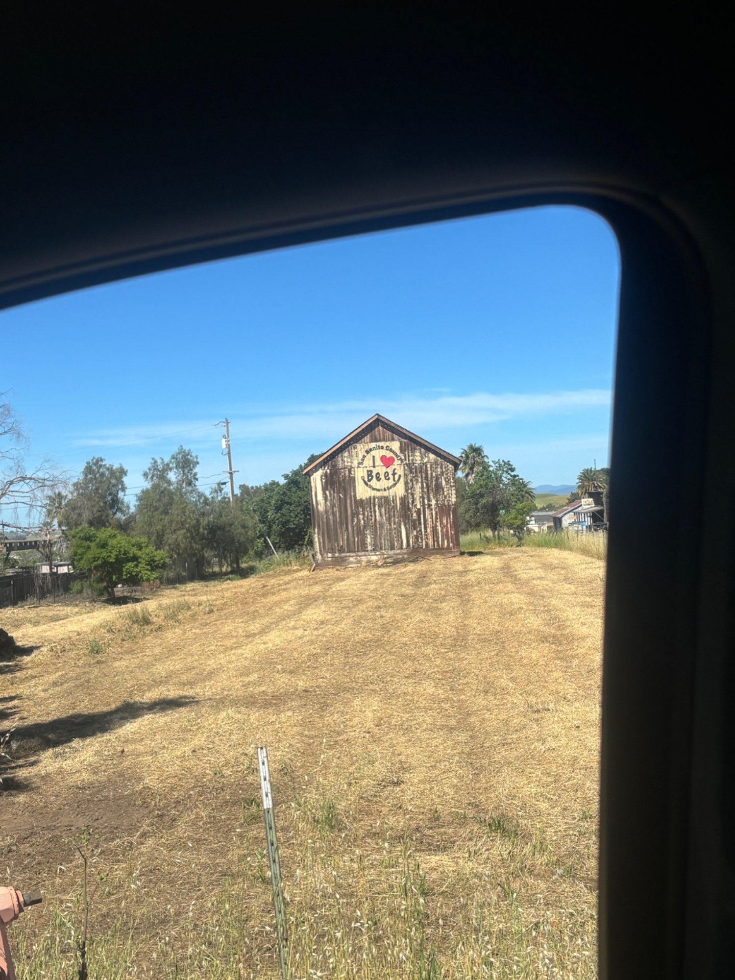 IMG_8943.jpeg