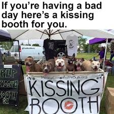 IMG_9002.jpeg