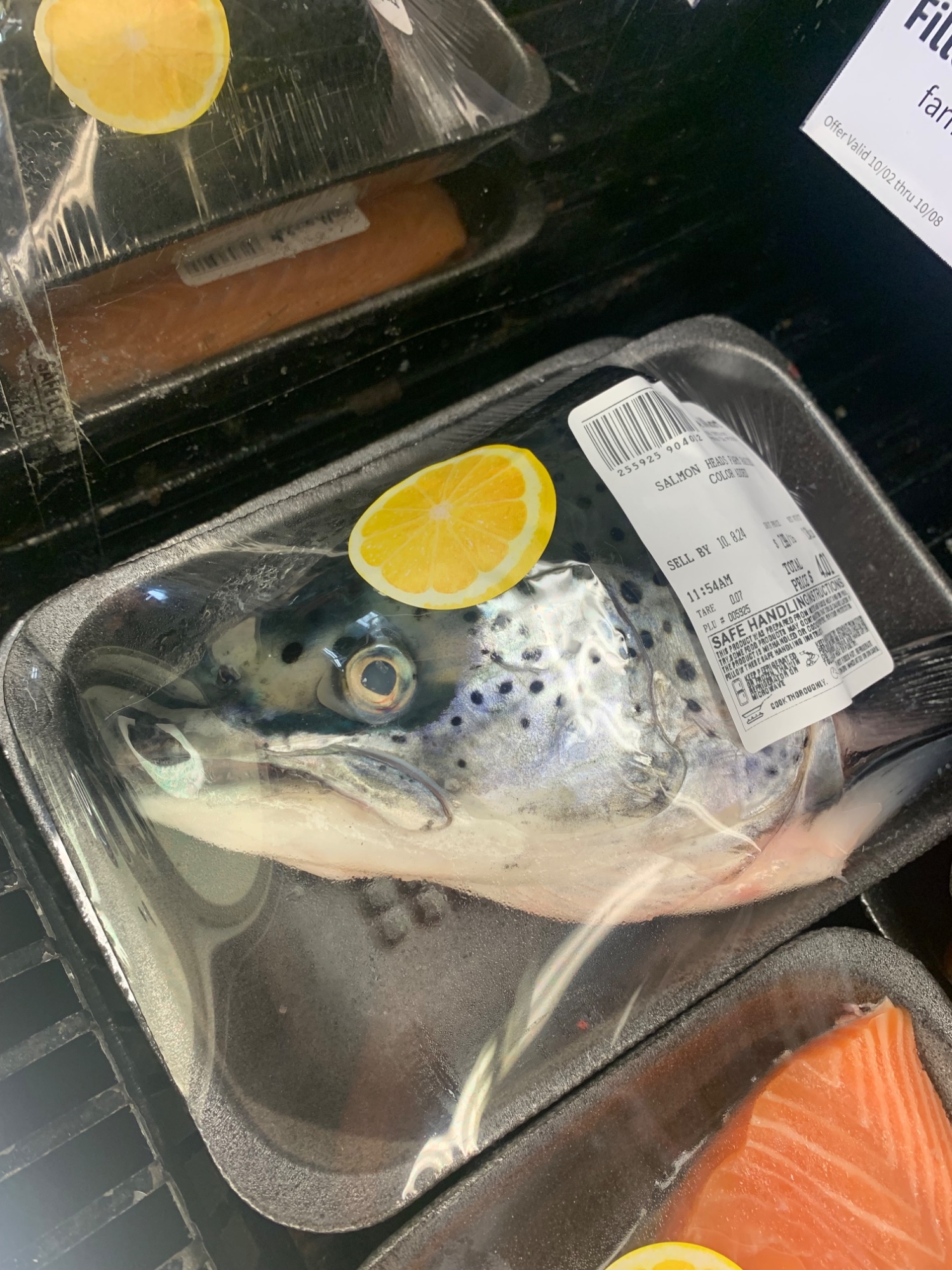 IMG_9088.jpeg