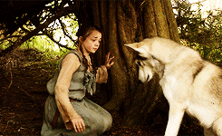 IMG_9199.gif