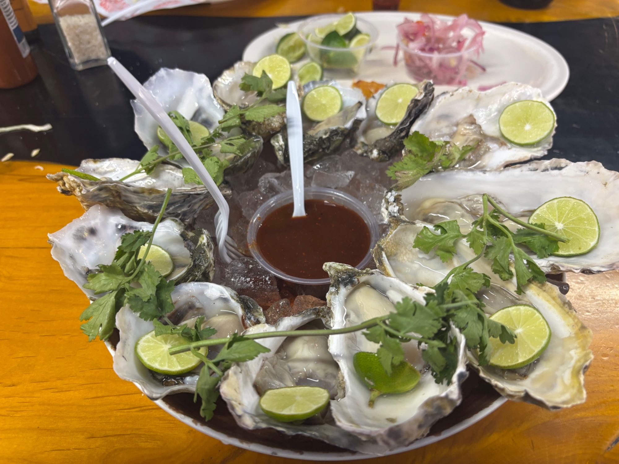 IMG_9224.jpeg