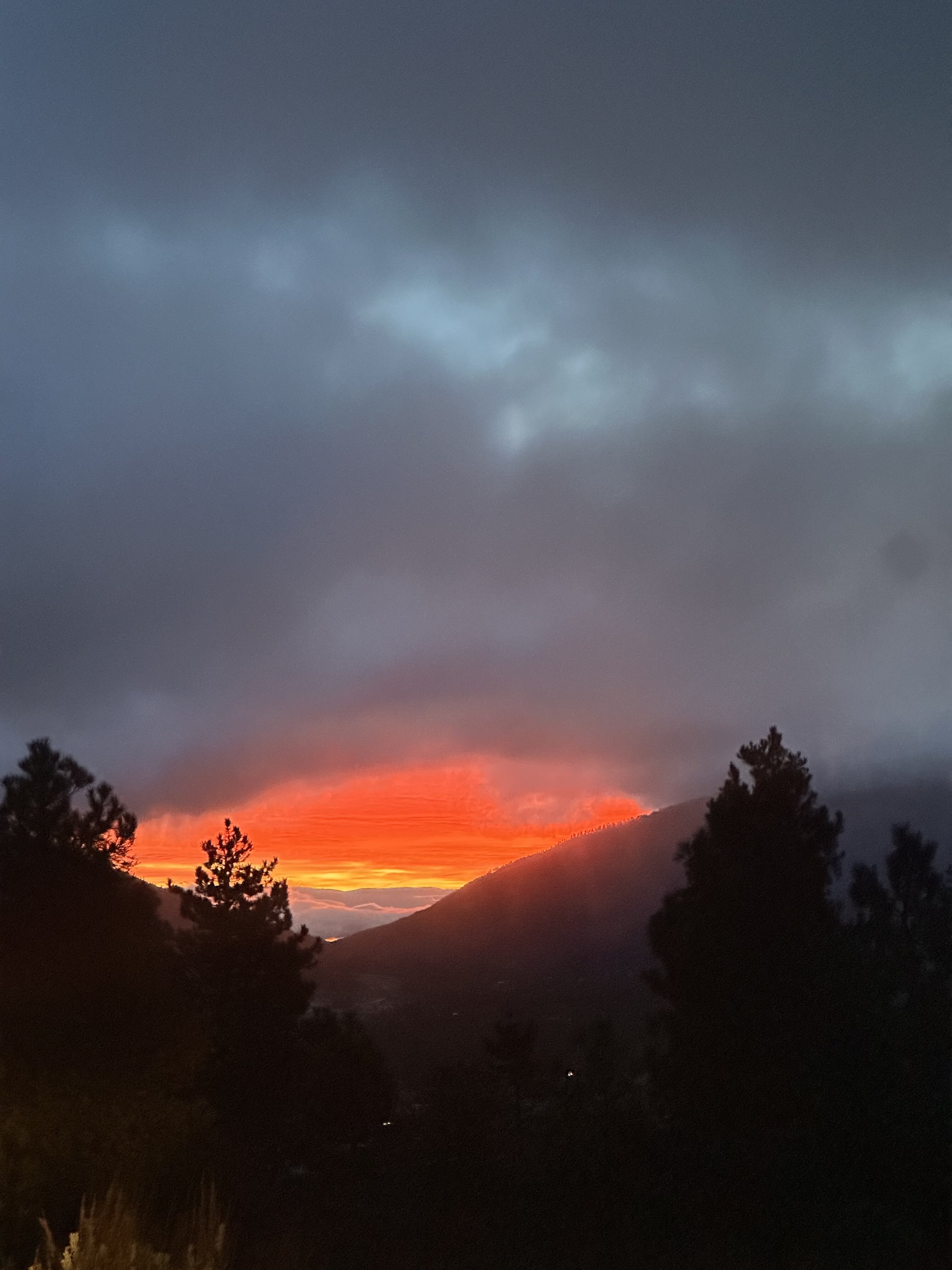 IMG_9479.jpeg