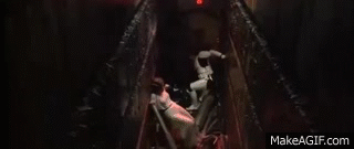 IMG_9488.gif