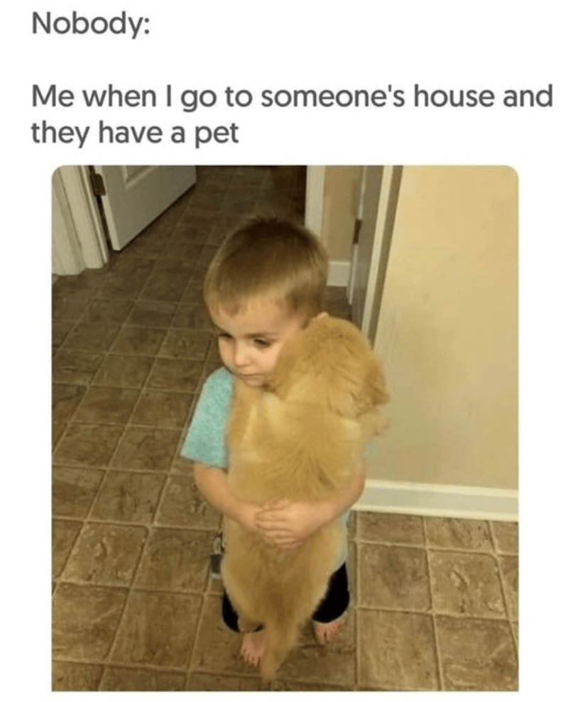 IMG_9612.png