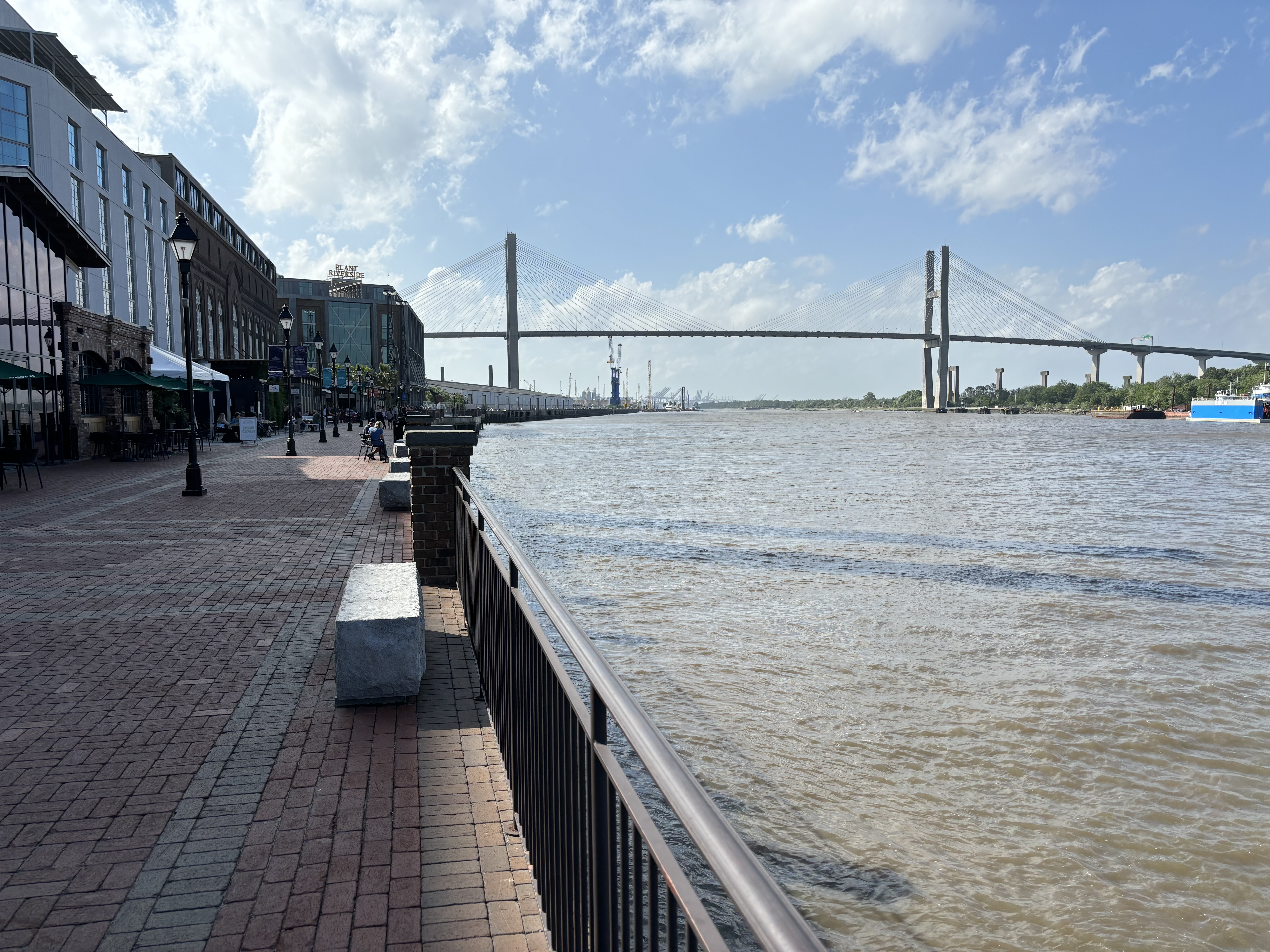 IMG_9806.jpeg