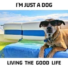IMG_9893.jpeg