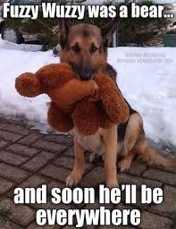 IMG_9946.jpeg