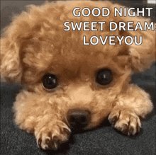 IMG_9989.gif