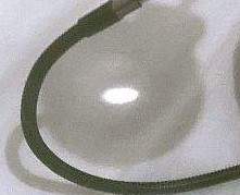 IMG_E0608~2.jpg