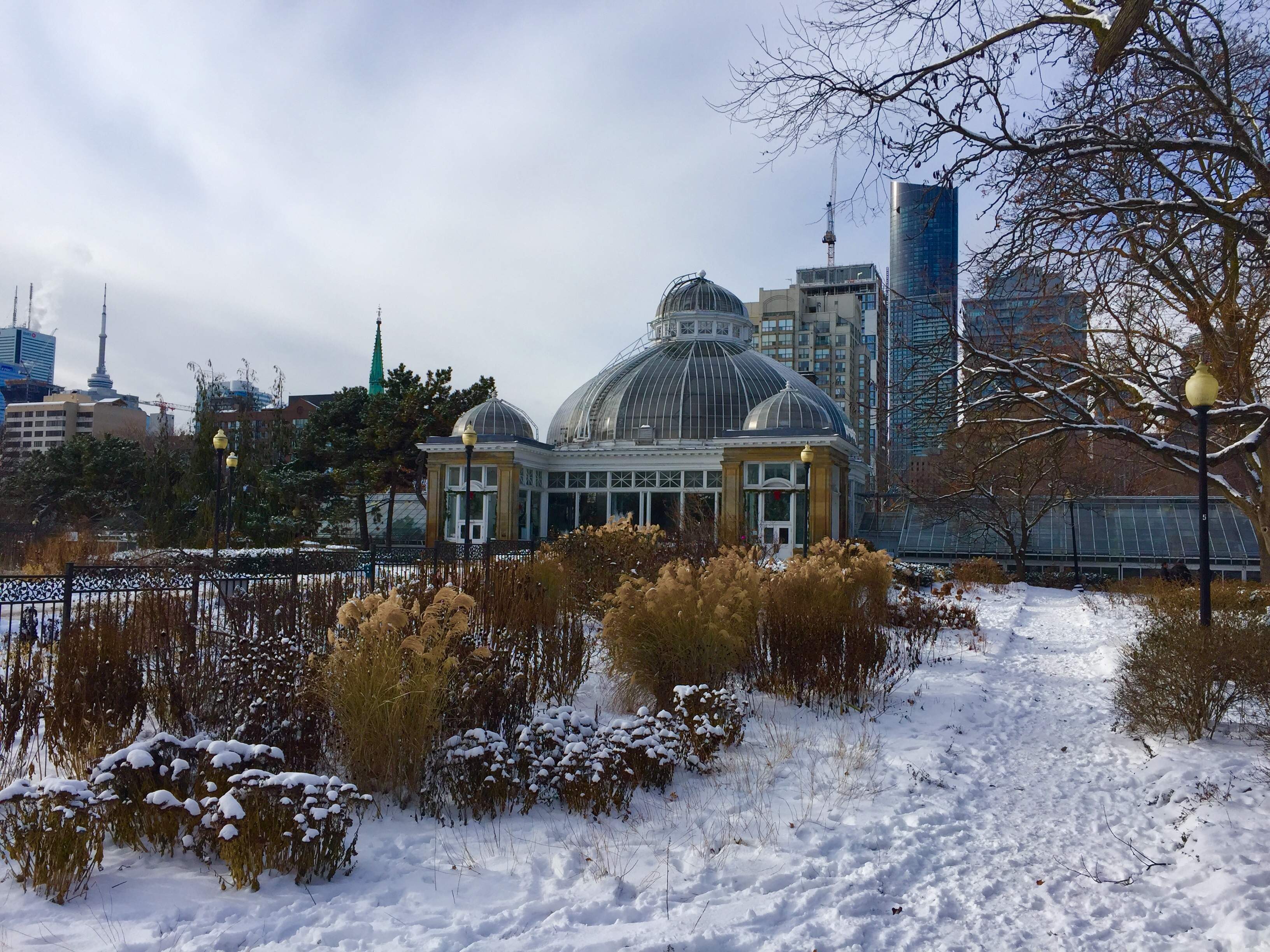IMG_E4636.JPG