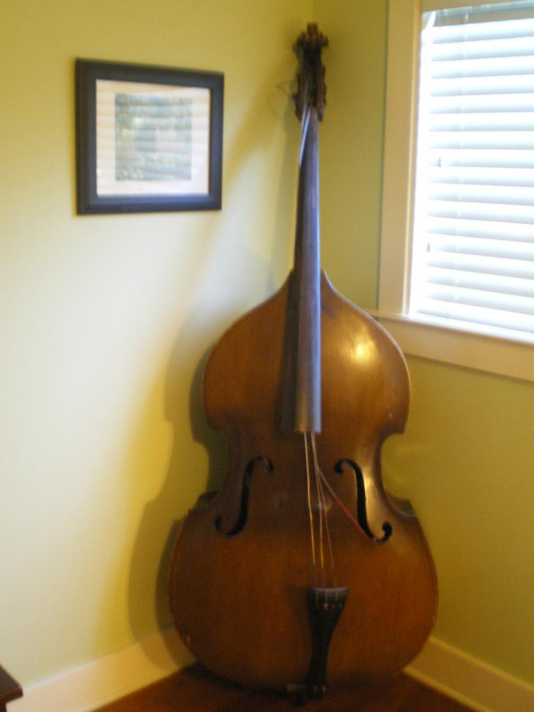 IMGP0001.jpg