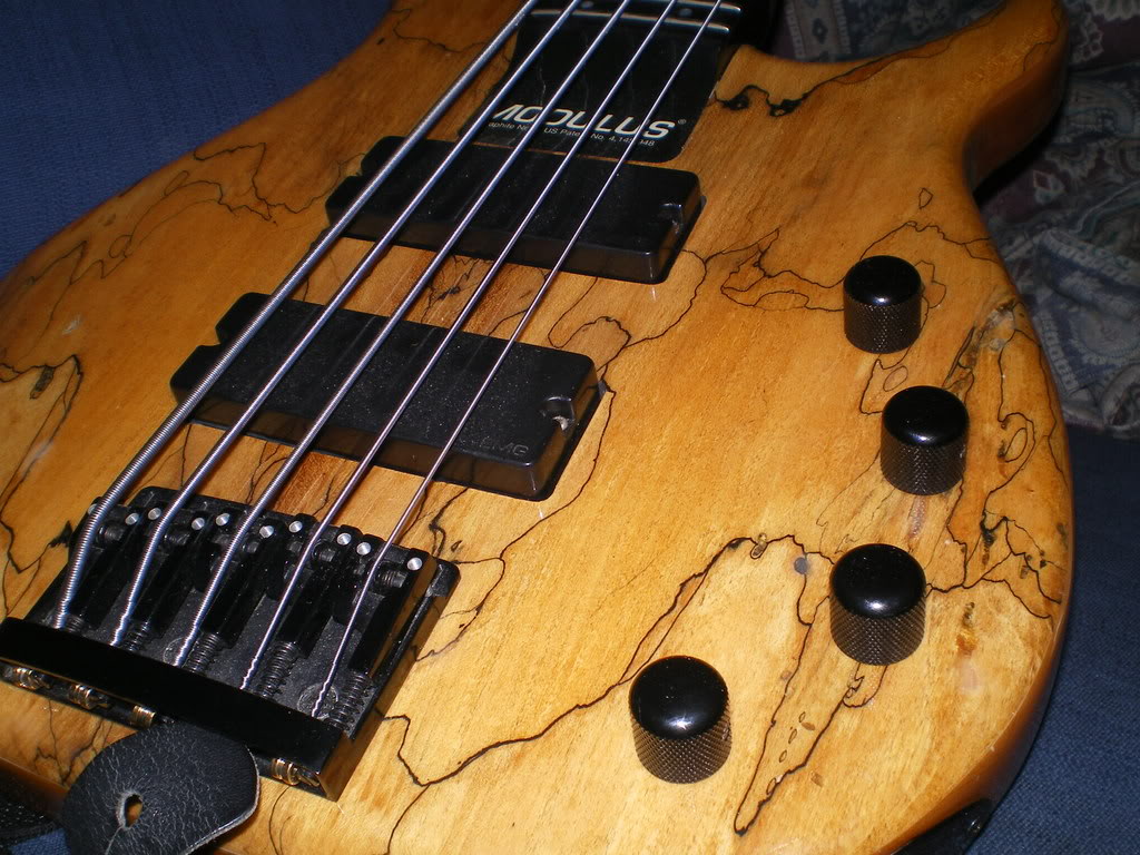 IMGP0004.jpg