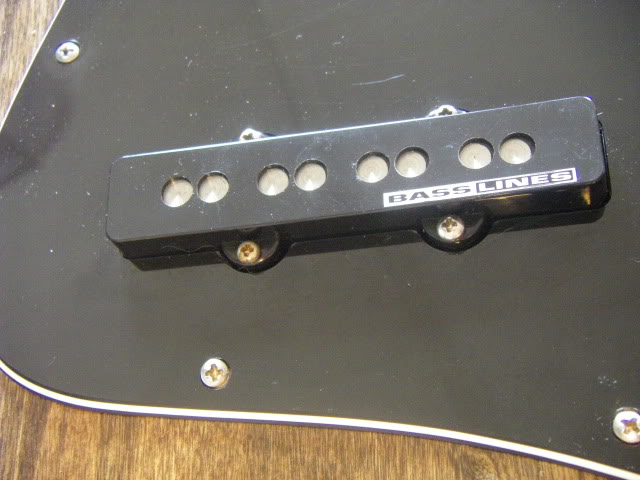 IMGP0004.jpg