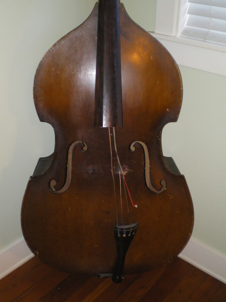 IMGP0008.jpg