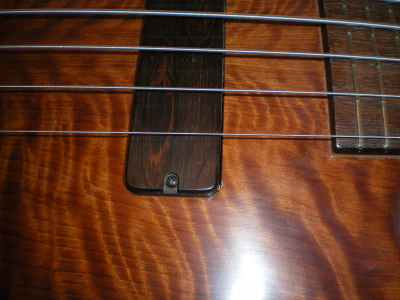 IMGP0015.jpg