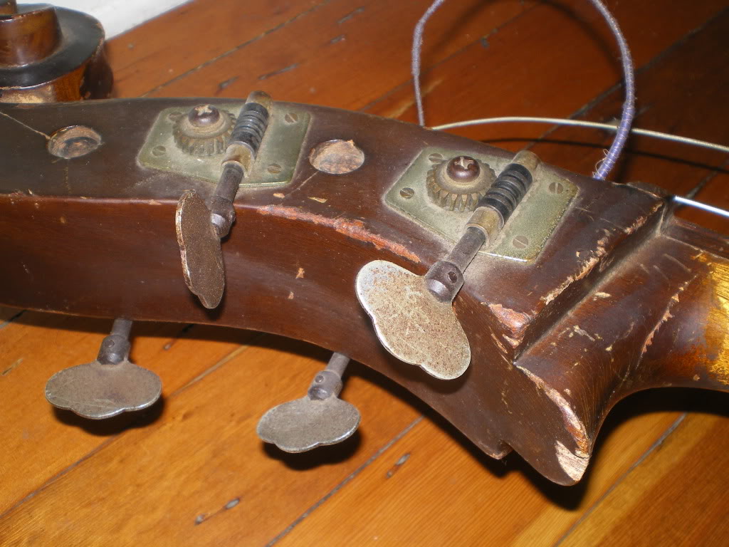 IMGP0020.jpg