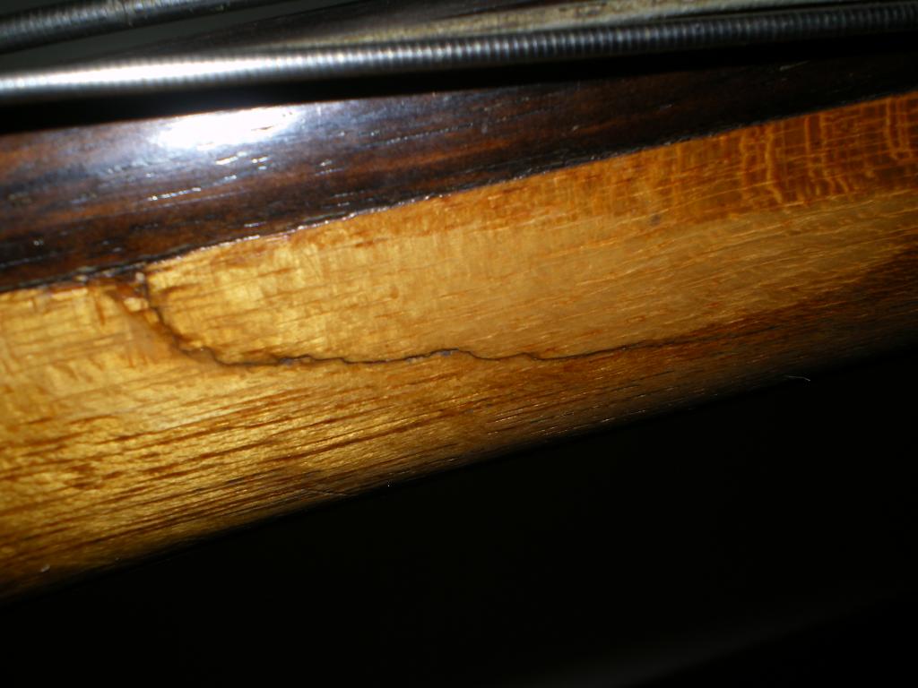 IMGP0029.jpg