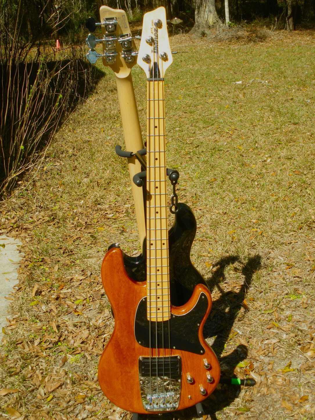 IMGP0096.jpg
