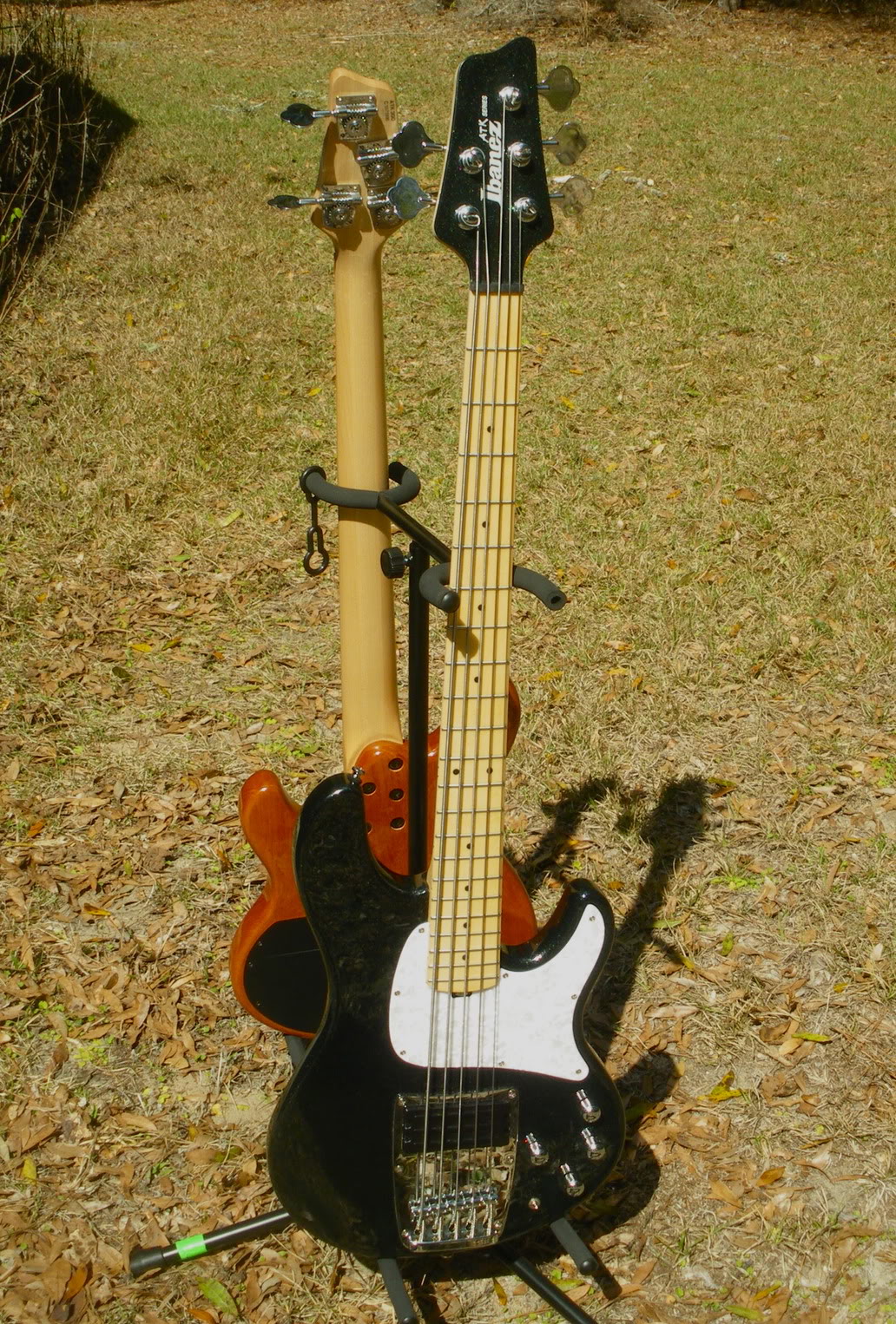 IMGP0101.jpg