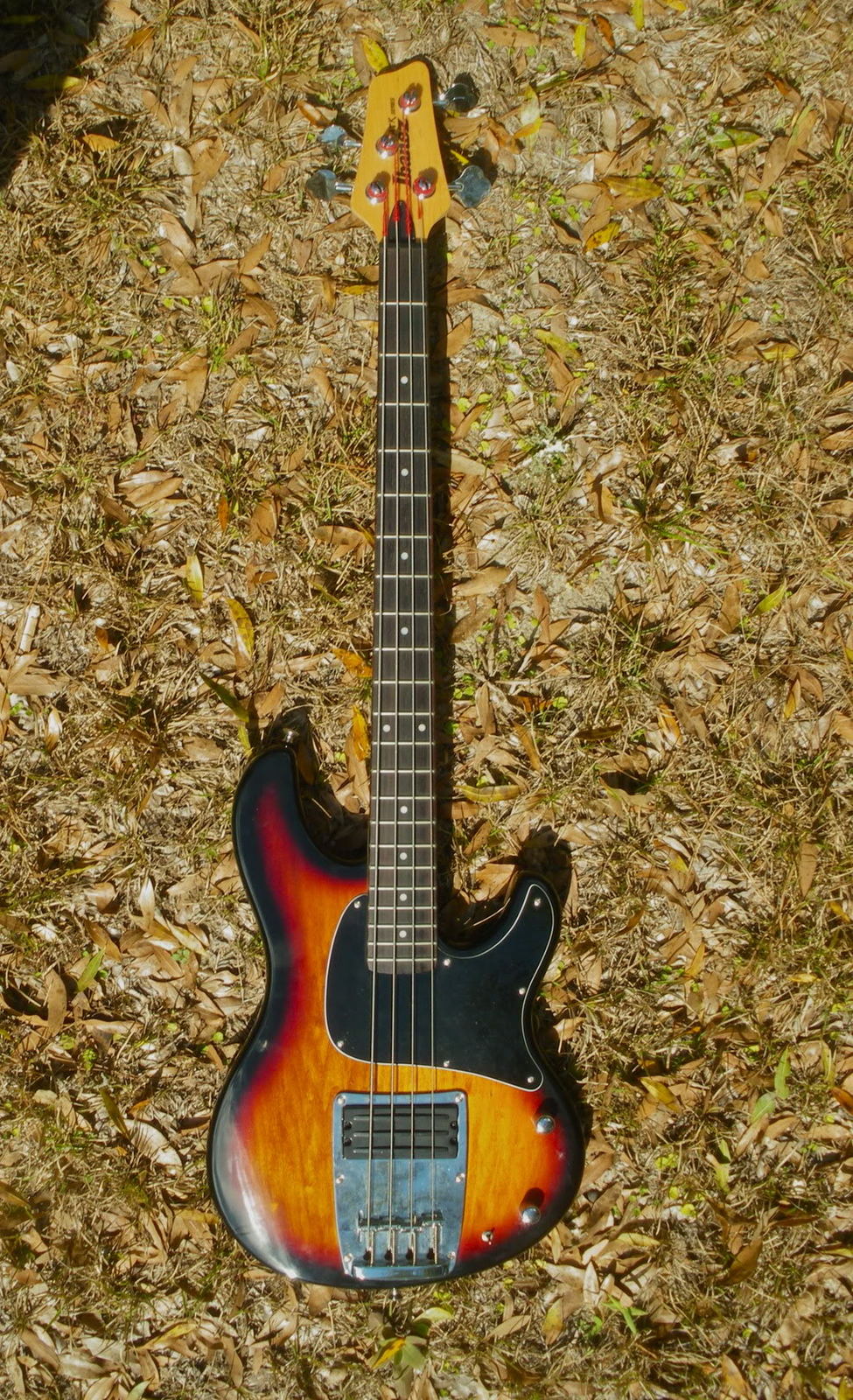 IMGP0106-1.jpg