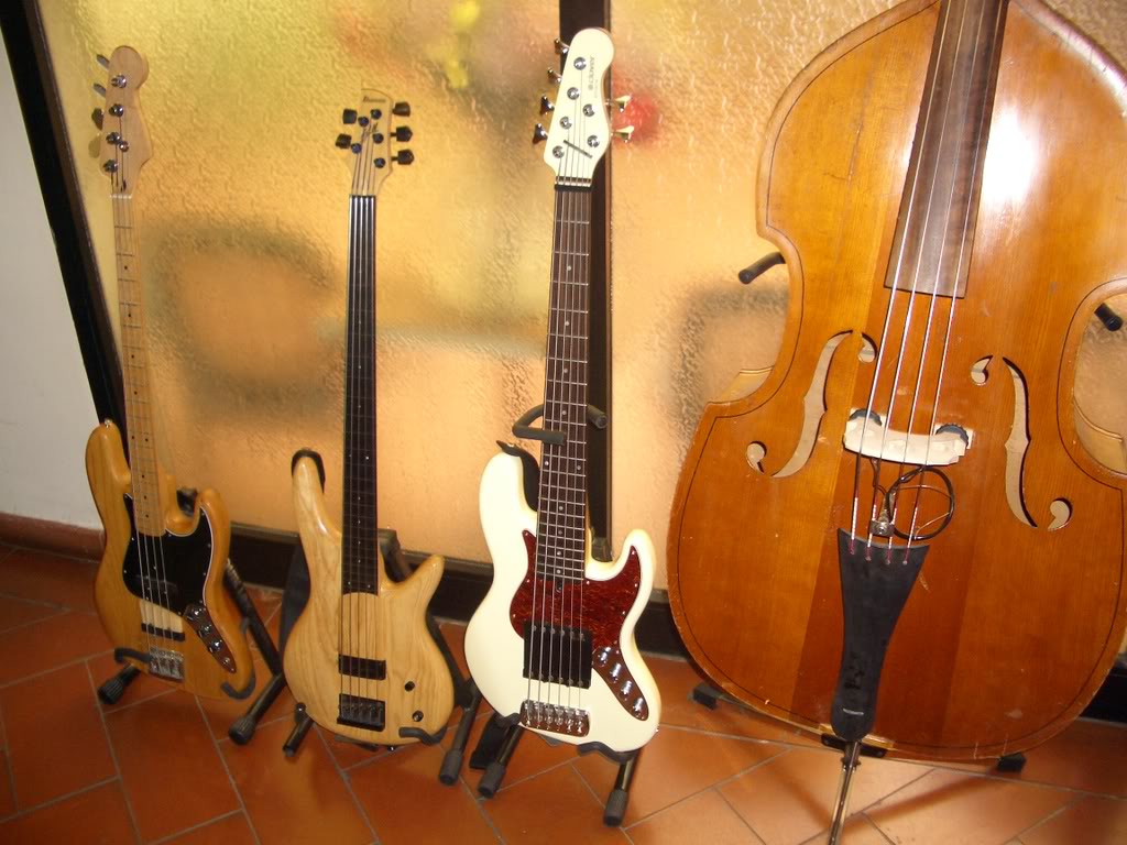 IMGP0169.jpg