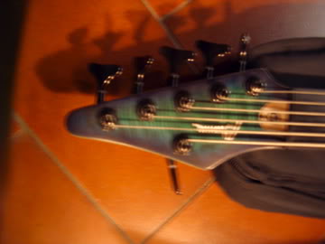 IMGP0209.jpg