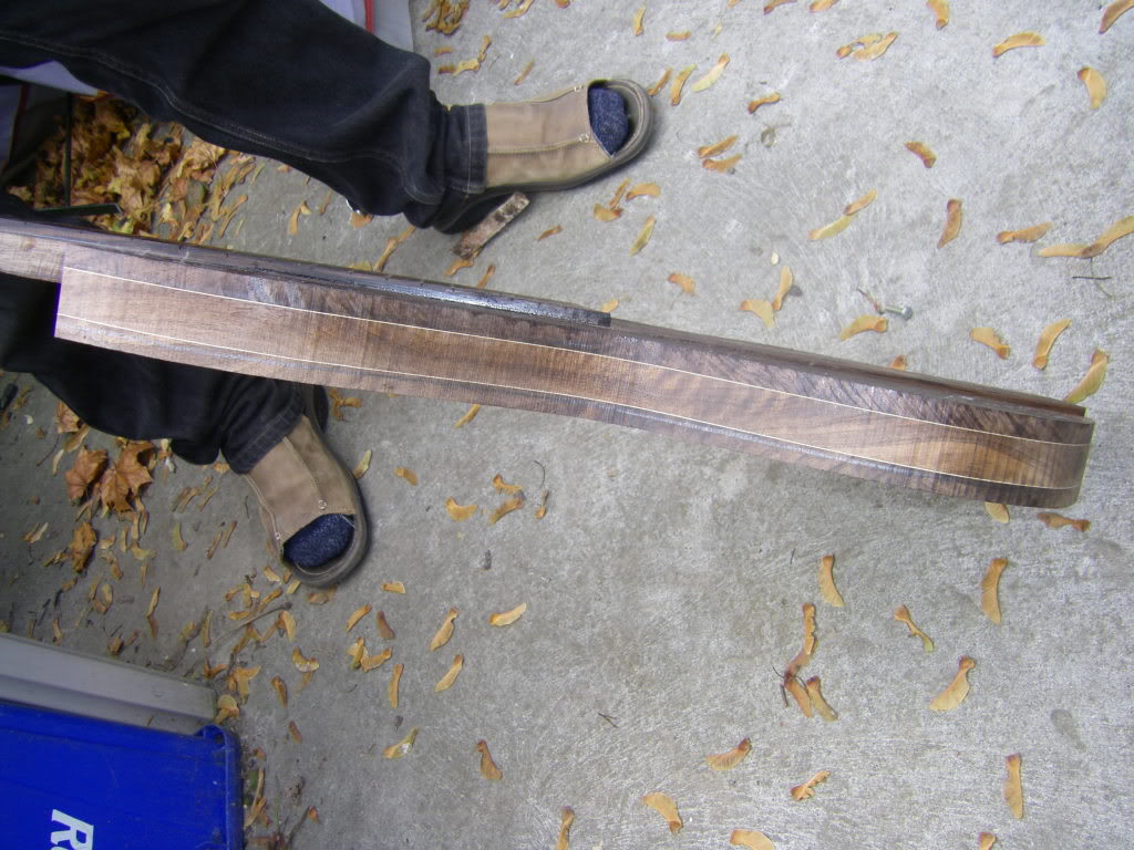 IMGP0221.jpg