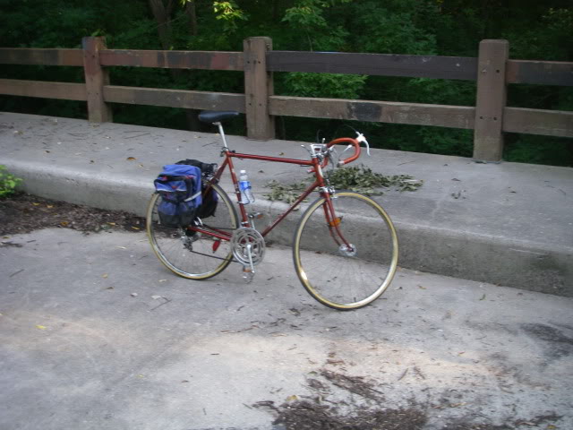 IMGP0264.jpg