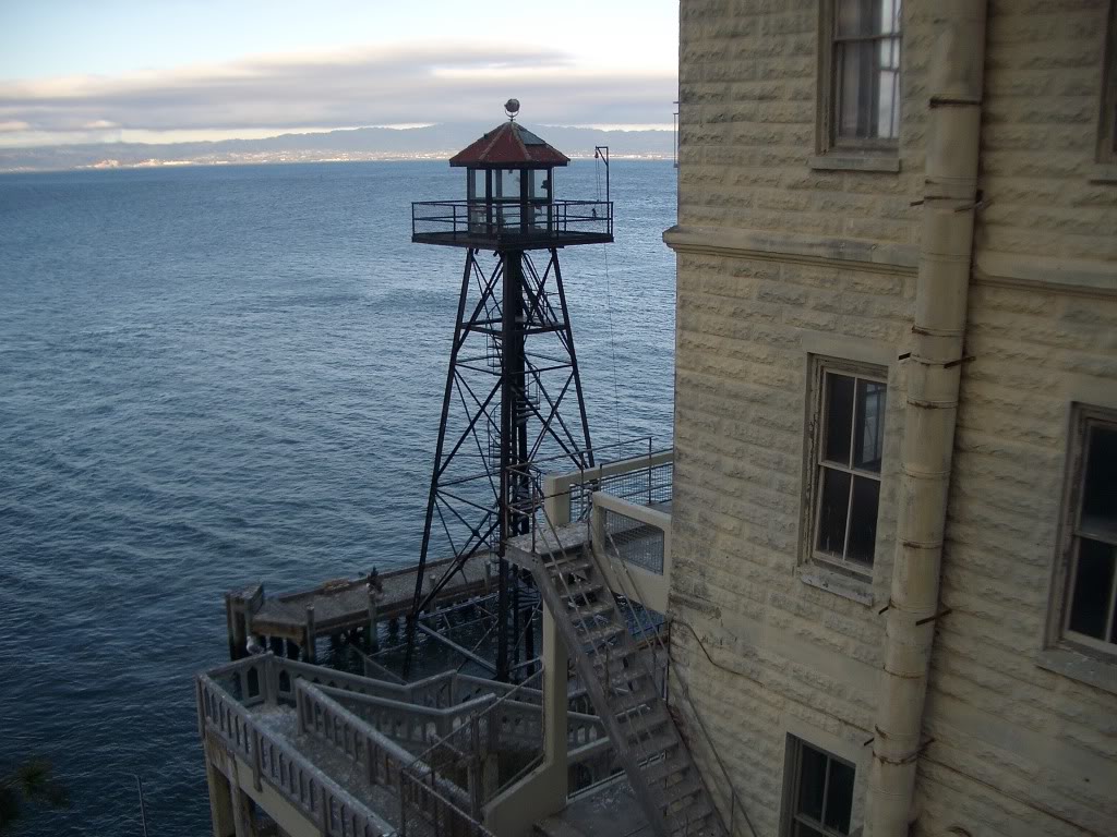IMGP0446.jpg