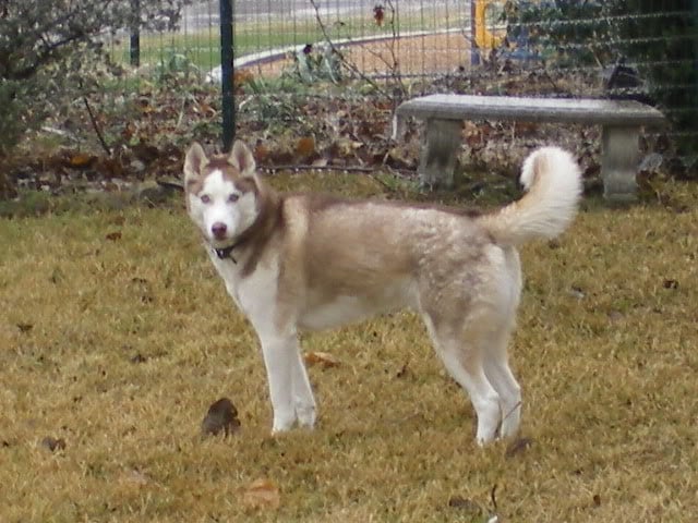 IMGP0486.jpg