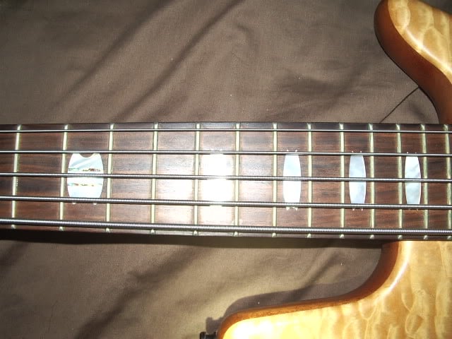 IMGP0504.jpg