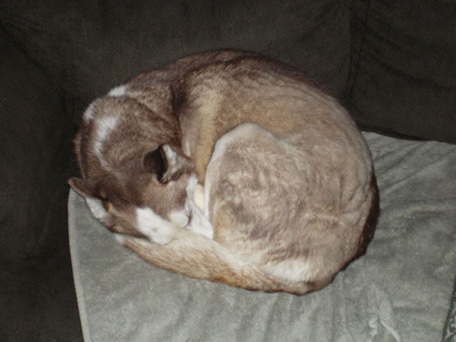 IMGP06062a.jpg
