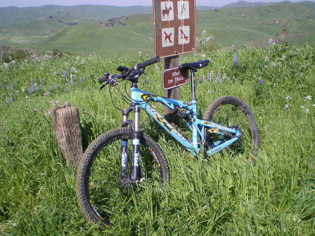 IMGP0744.jpg