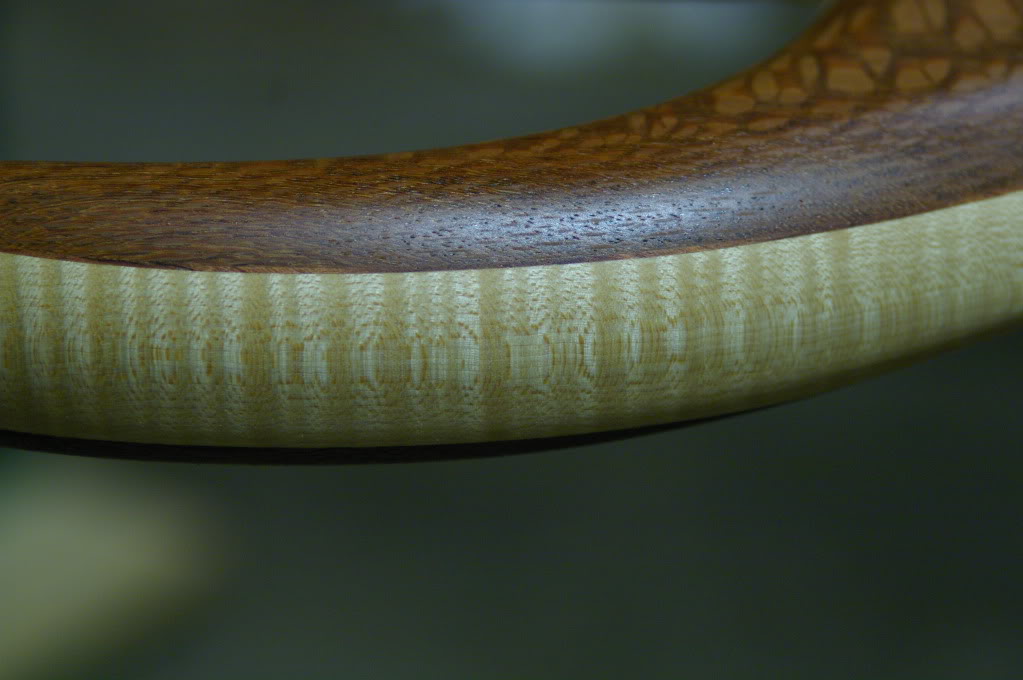 IMGP1131.jpg