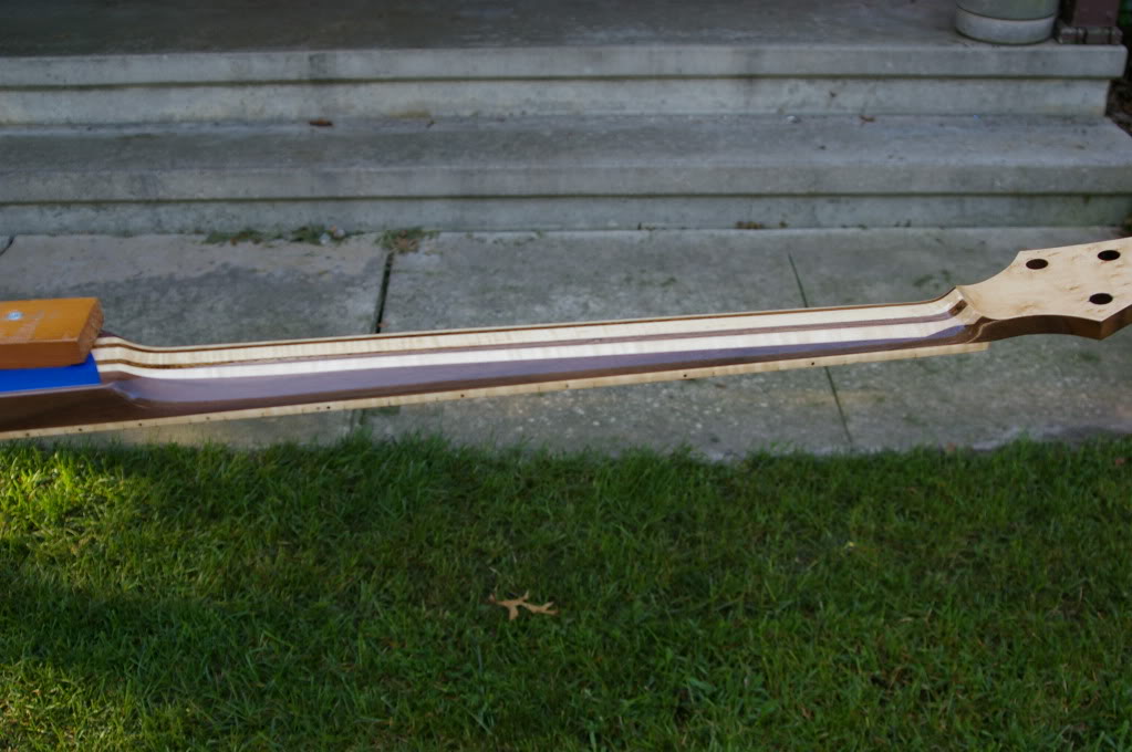 IMGP1147.jpg