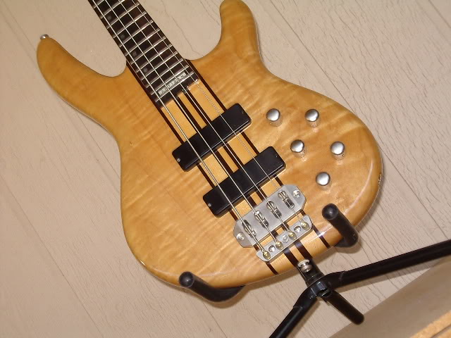 IMGP1349.jpg