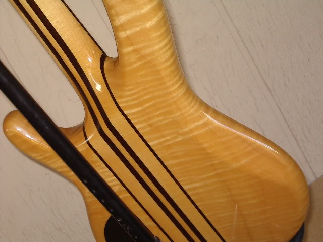 IMGP1350.jpg