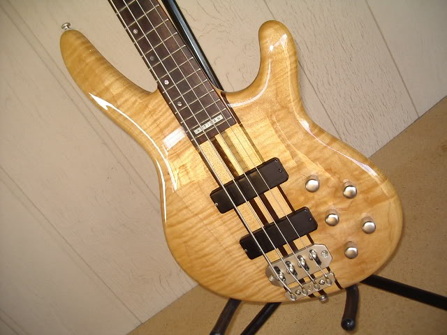 IMGP1353.jpg