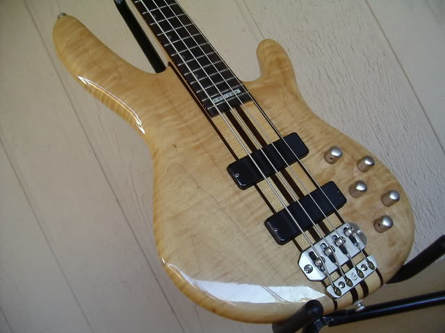 IMGP1355.jpg