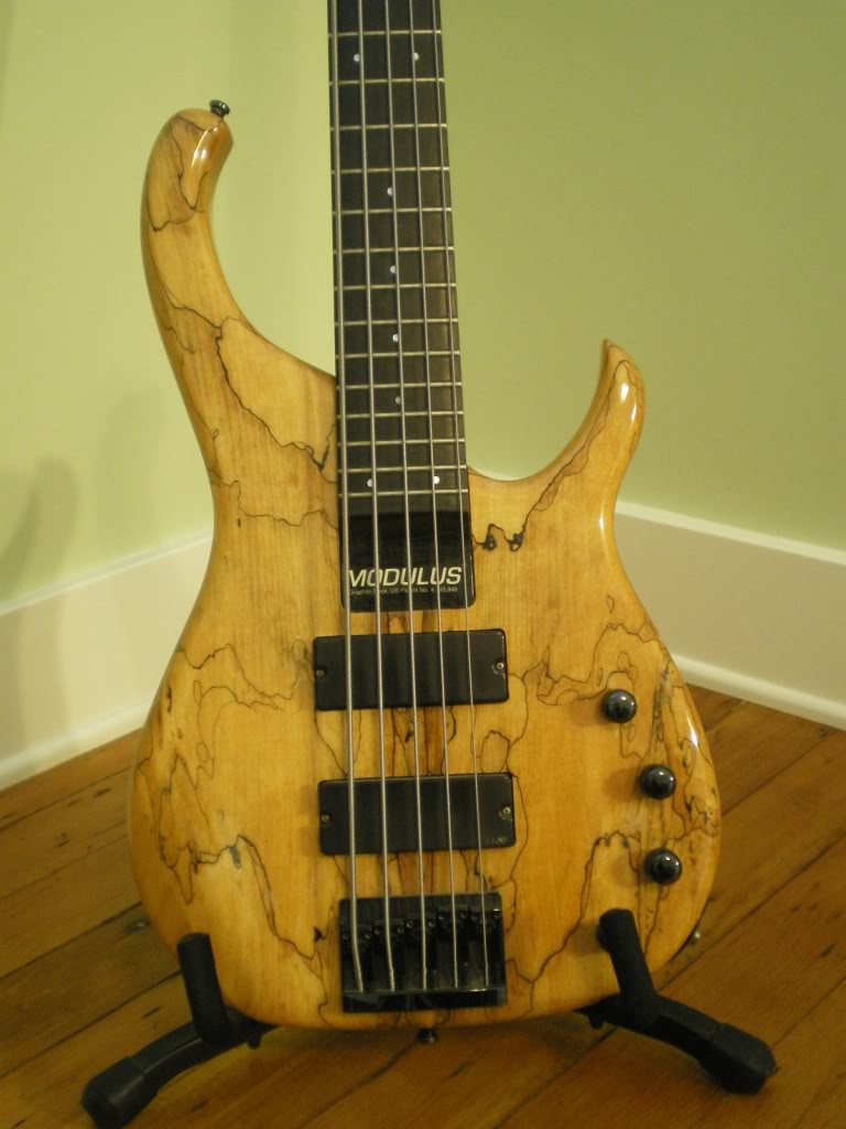 IMGP1379.jpg