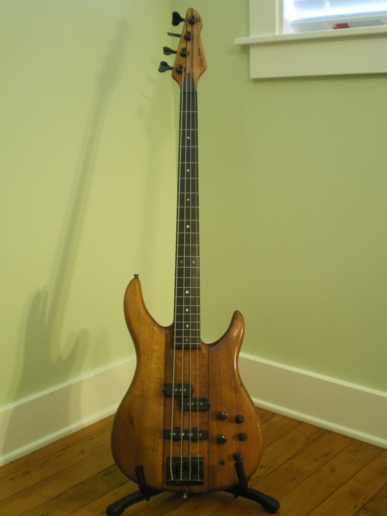 IMGP1393.jpg