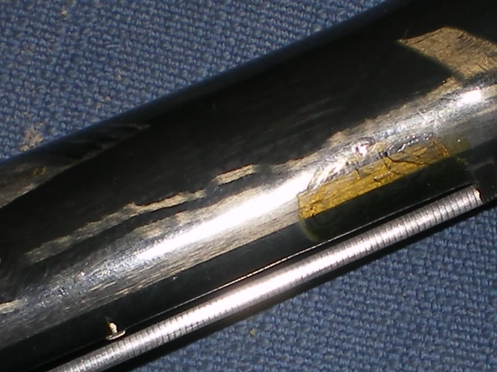 IMGP1415.jpg