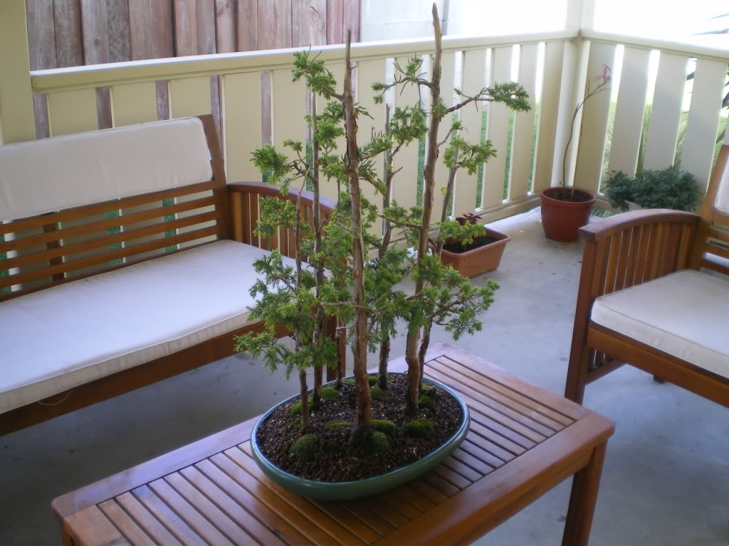 IMGP1585.jpg