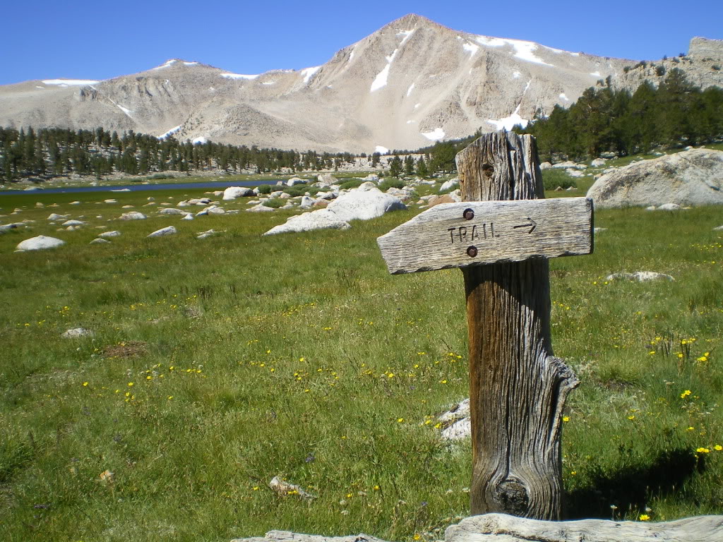IMGP2614.jpg