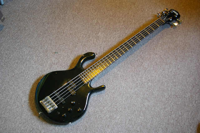 IMGP2902.jpg
