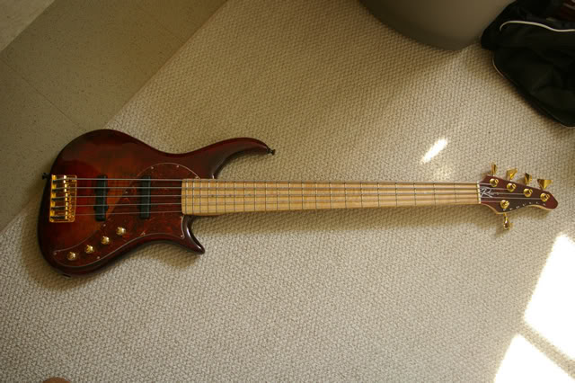 IMGP4248.jpg