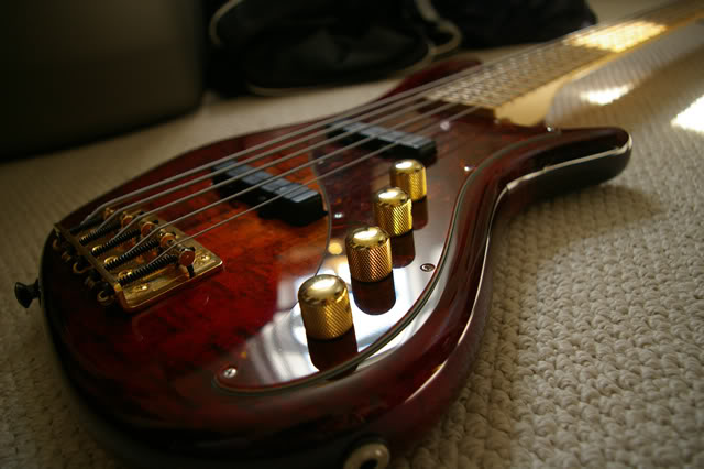 IMGP4254.jpg