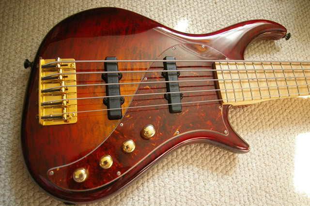 IMGP4255.jpg