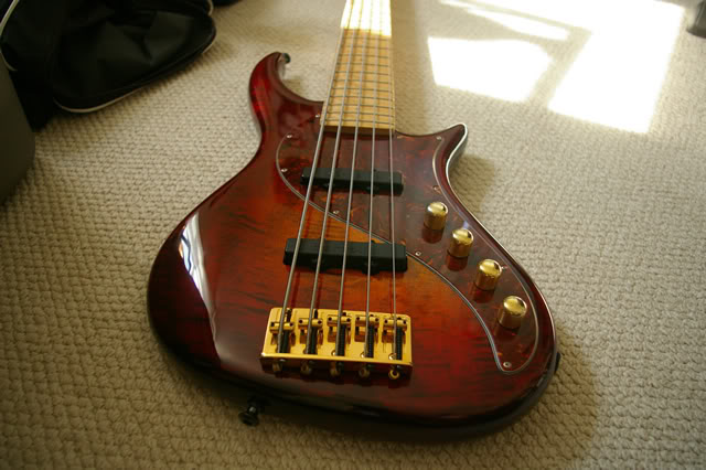 IMGP4260.jpg